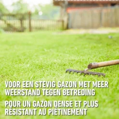 Compo gazonzaad Sport & Spel 25m² 500g