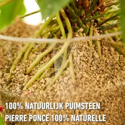 Compo granuplant indoor plantgranulaat 3L