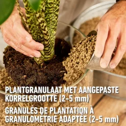 Compo granuplant indoor plantgranulaat 3L