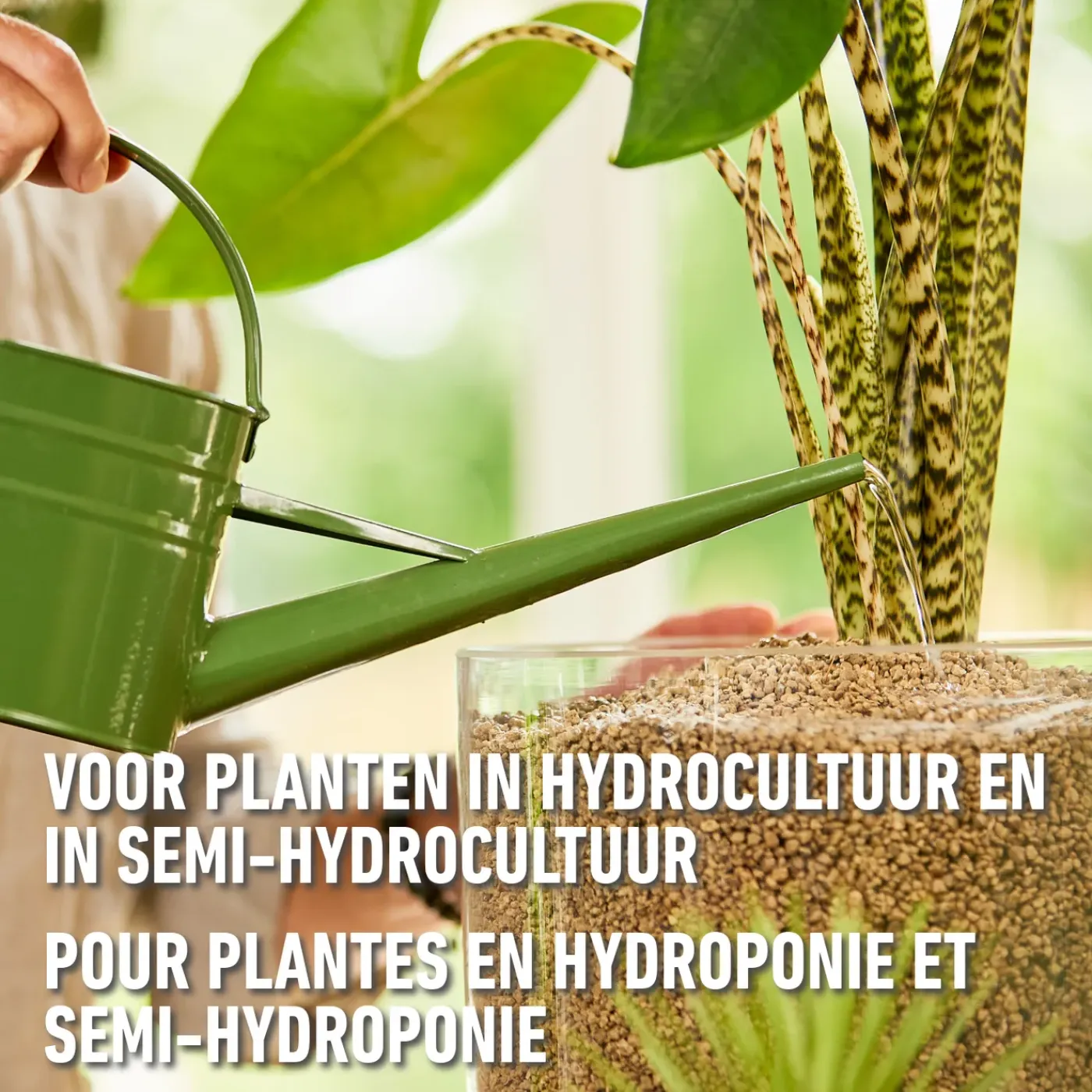 Compo Granuplant plantenvoeding 500ml