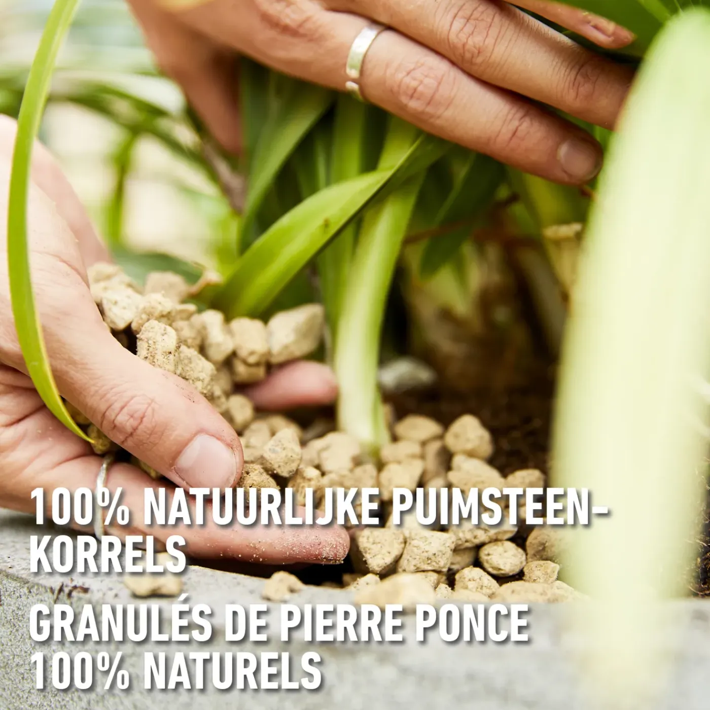 Compo Granuplant Puimsteen 10L