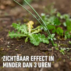 Compo Herbistop Ultra voor Alle Oppervlakken Concentraat - 100ml voor 44m²