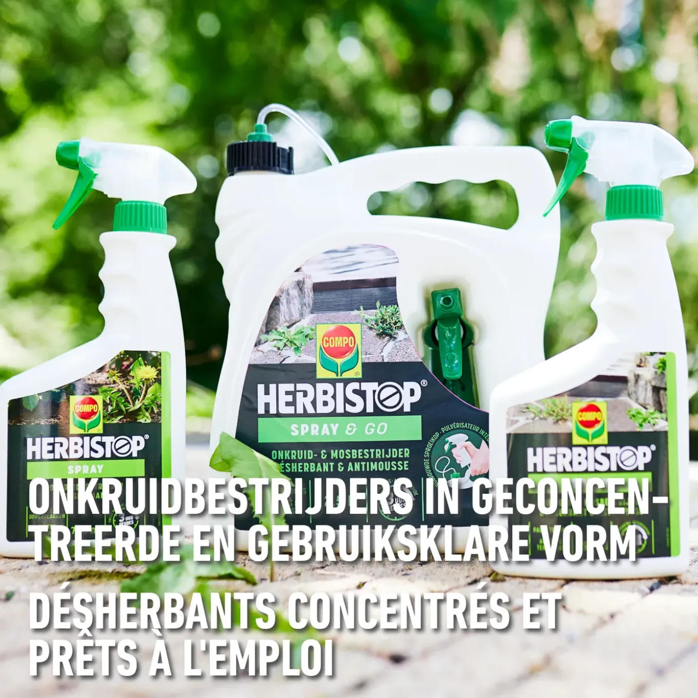 Compo Herbistop voor Paden & Terrassen Spray - 750ml voor 7,5m²