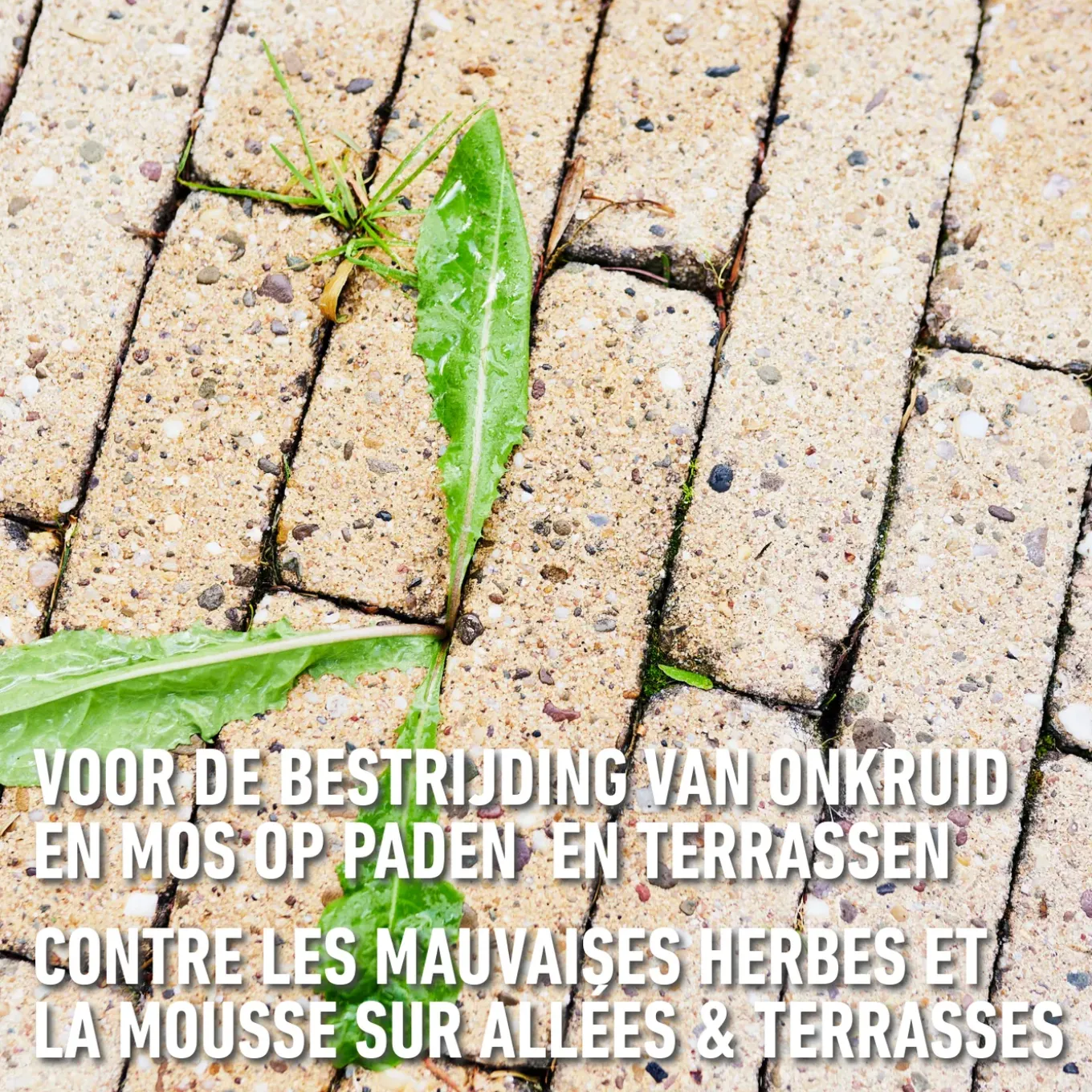 Compo Herbistop voor Paden & Terrassen Spray - 750ml voor 7,5m²