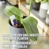 Compo herstelkuur Orchideeën 150ml