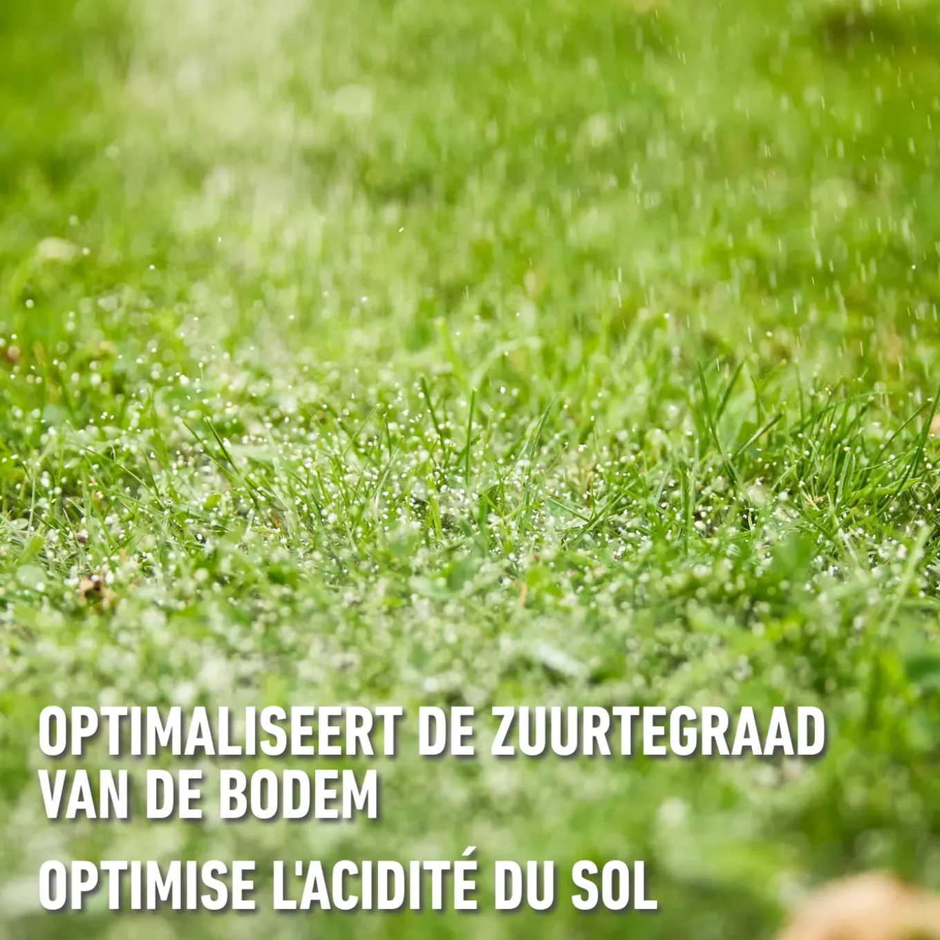 Compo korrelkalk voor sier- en moestuin 10kg 100m²