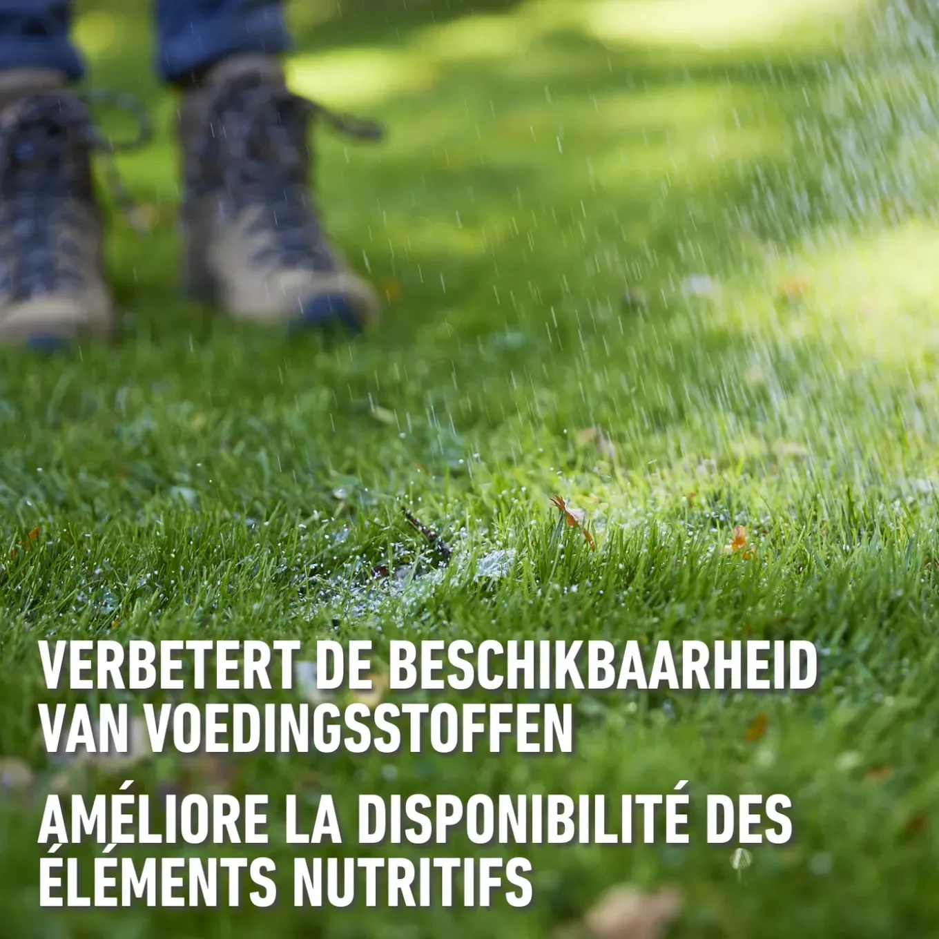 Compo korrelkalk voor sier- en moestuin 10kg 100m²