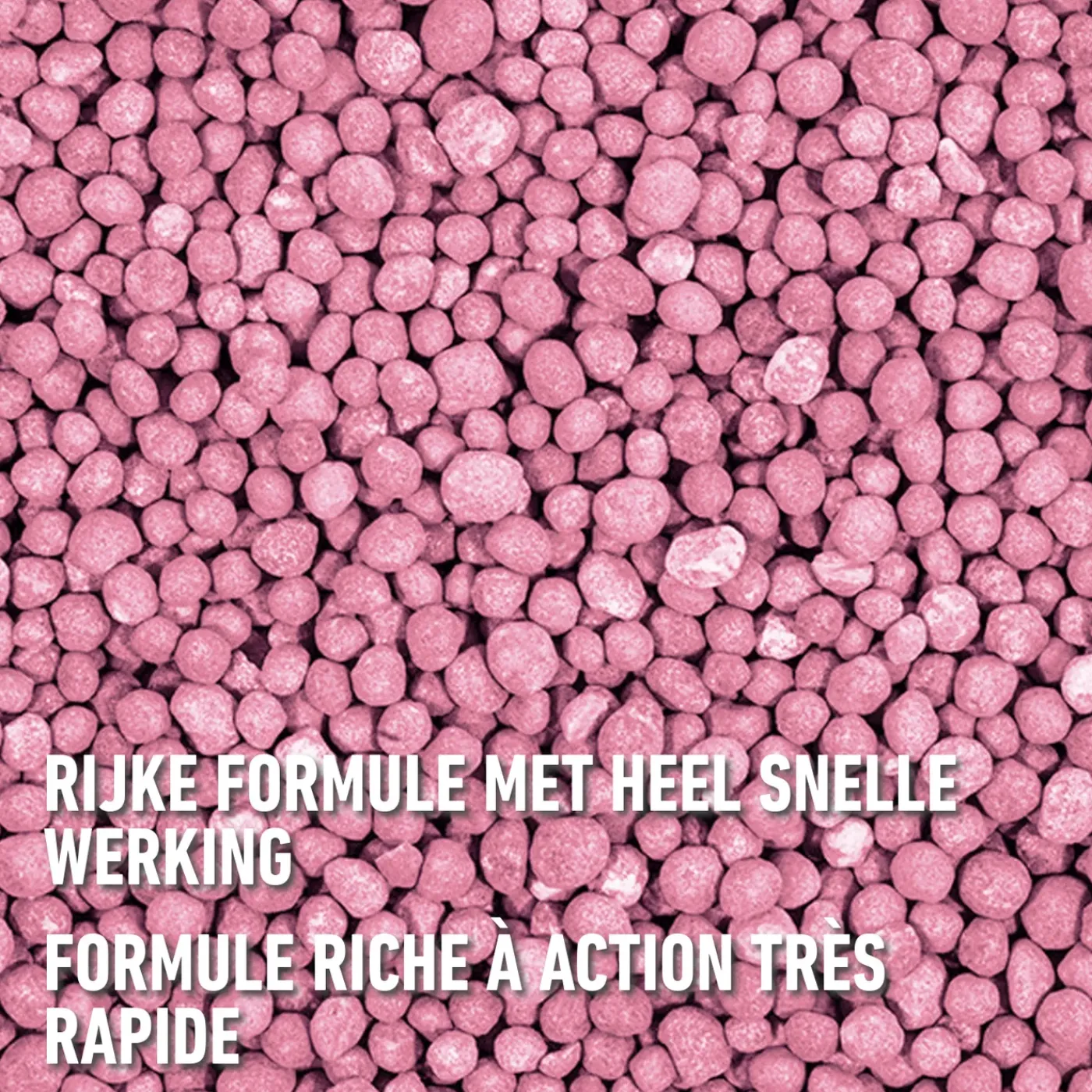 Compo korrels Roze 2,5kg