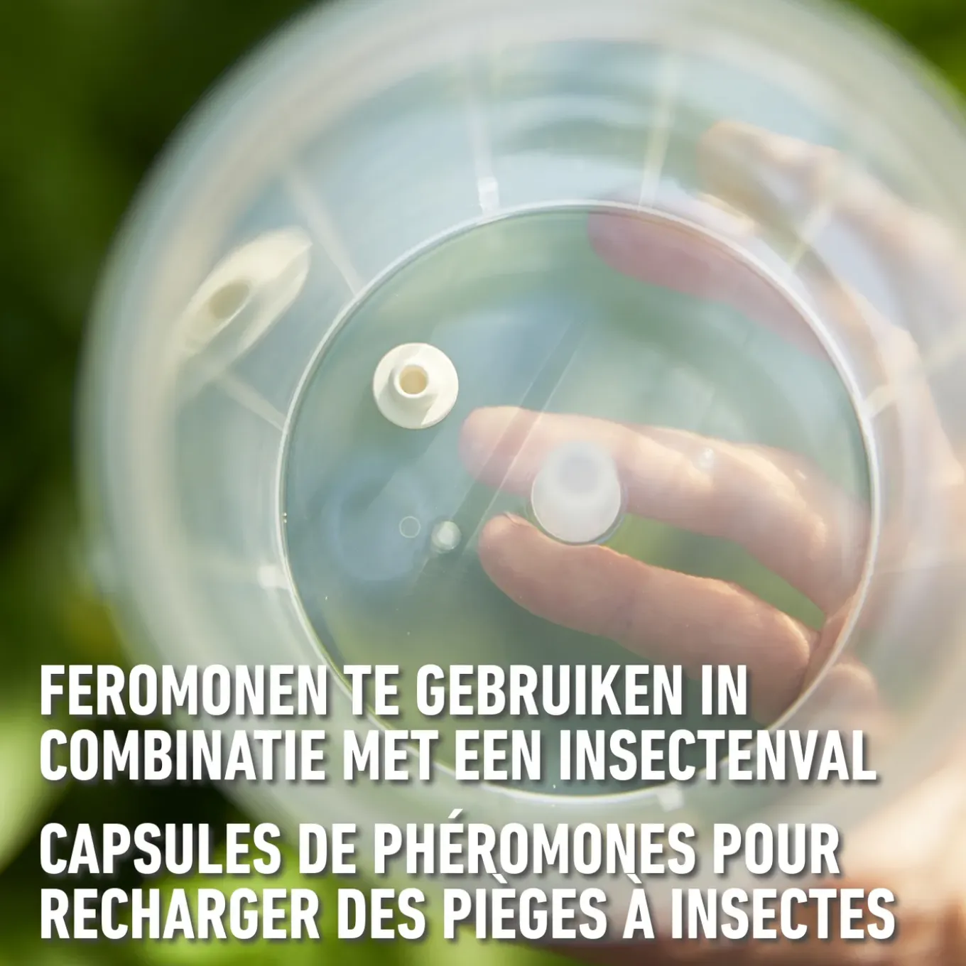 Compo Navulling Buxusmotval - 3 Stuk voor 180m²