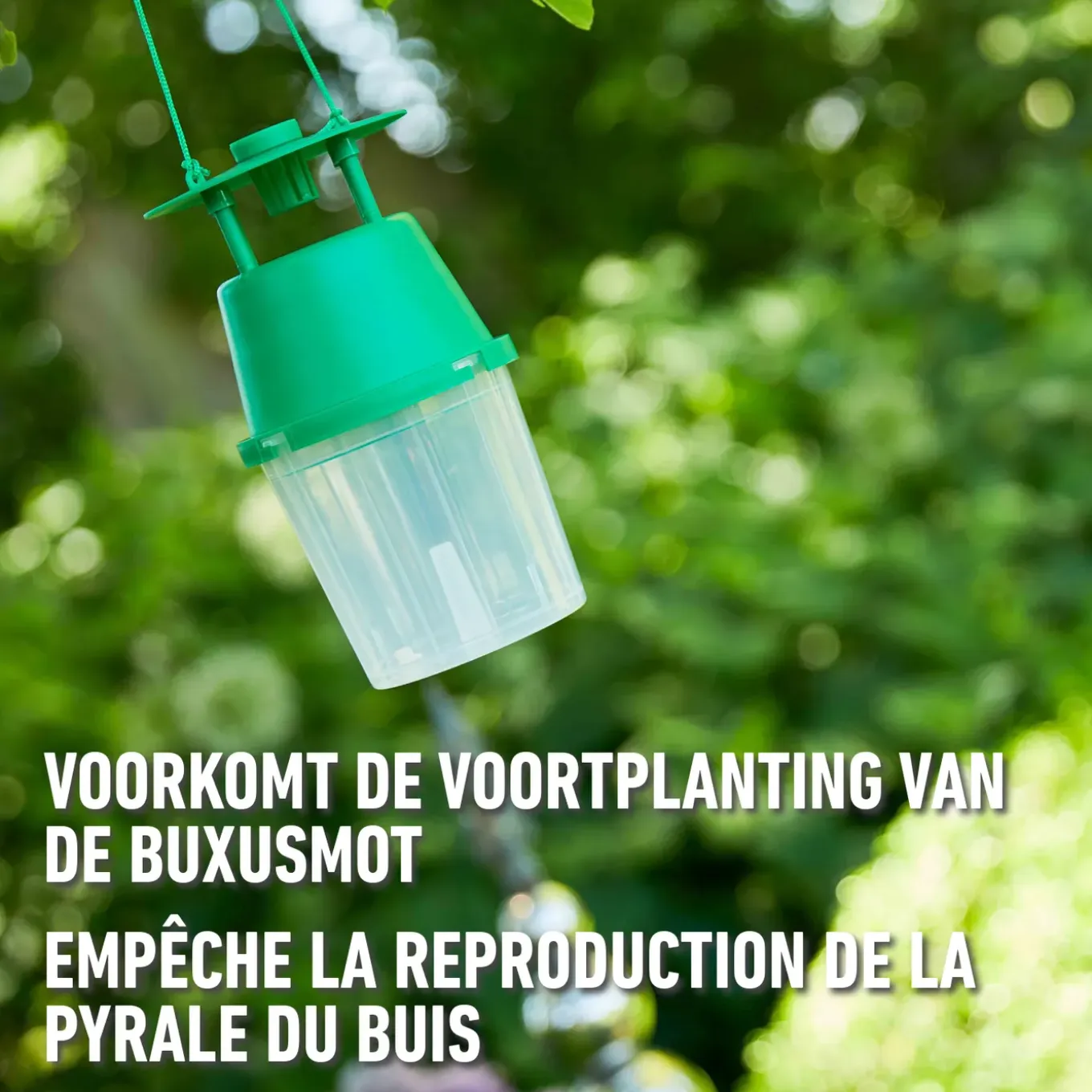 Compo Navulling Buxusmotval - 3 Stuk voor 180m²