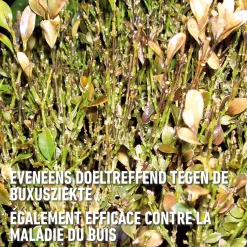 Compo Ortiva Plus Concentraat - 20ml
