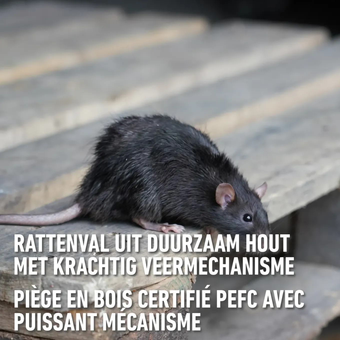 Compo Radikal Mechanische Val - Tegen Ratten - 1 stuk