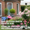 Compo Roze Korrels 1kg