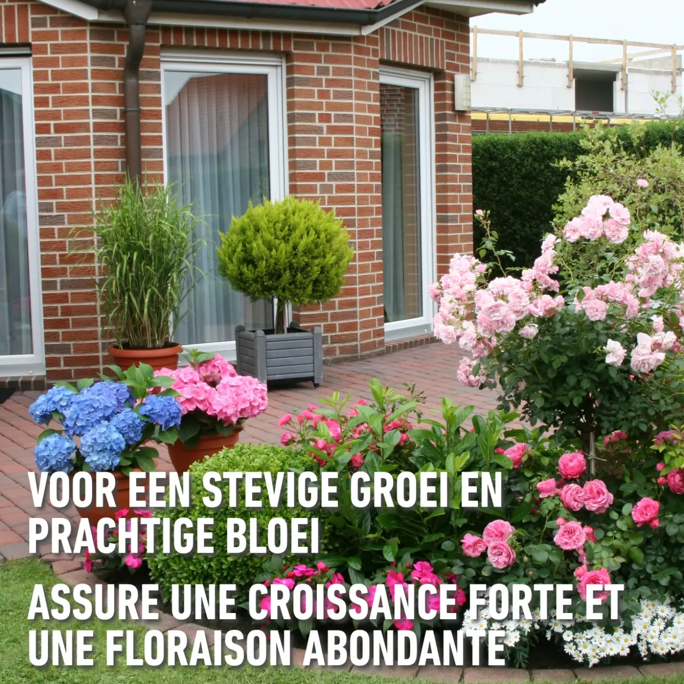 Compo Roze Korrels 1kg