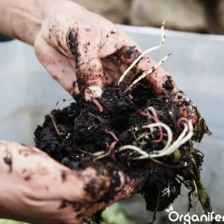 Organifer Compostversneller Voor Hoogwaardige Compost In Minder Tijd - 5 Kg / 25-100 M² Of 5 M³ -