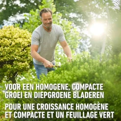 Compo vloeibare meststof Buxus 1L