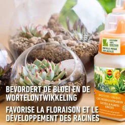 Compo vloeibare meststof Cactus 250ml