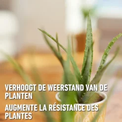 Compo vloeibare meststof Cactus 250ml