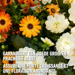 Compo vloeibare meststof Geraniums & Balkonplanten 1L