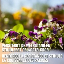 Compo vloeibare meststof Geraniums & Balkonplanten 1L