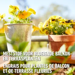 Compo vloeibare meststof Geraniums & Balkonplanten 1L