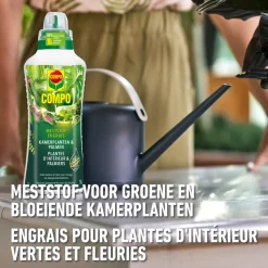 Compo vloeibare meststof kamerplanten & palmen 1L