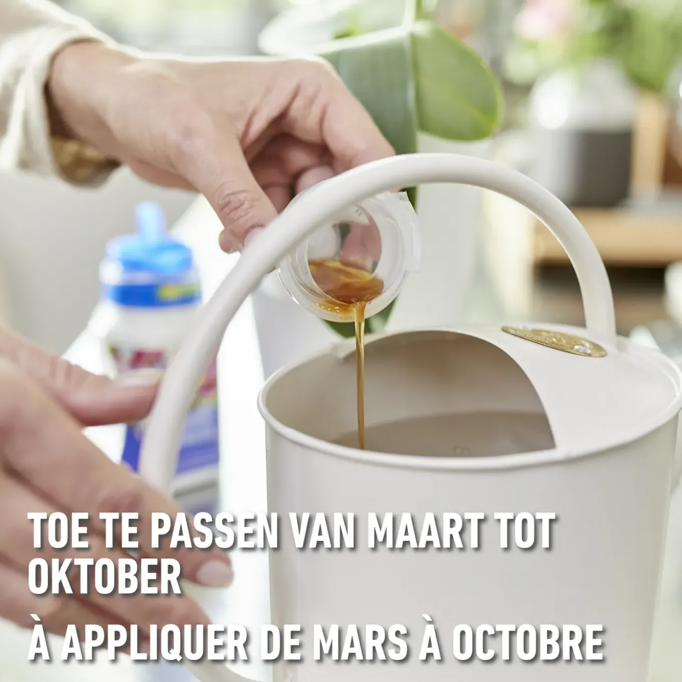Compo vloeibare meststof orchideeën 500ml