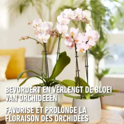 Compo vloeibare meststof orchideeën 500ml
