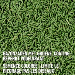 Compo zaad voor gazonherstel 50m² 1kg