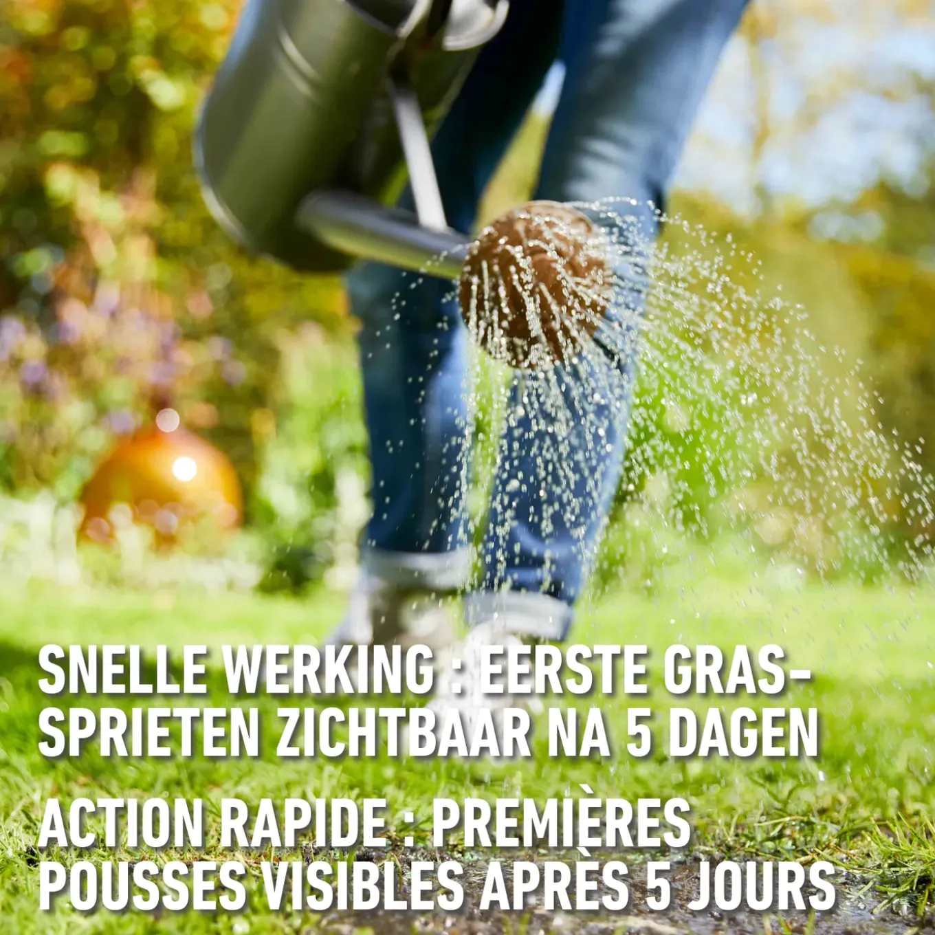 Compo zaad voor gazonherstel 50m² 1kg
