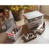 Curver Handy Opbergbox Kerst - Transparant/Rood - 29cm
