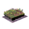 Dakvergroeners Sedum Kruidentray 16 m² incl. dakgrind