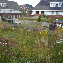 Dakvergroeners Sedum Kruidentray 26 m² incl. dakgrind