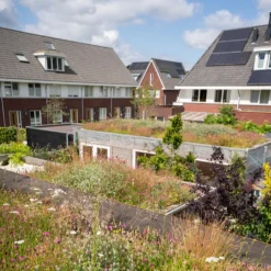 Dakvergroeners Sedum Kruidentray 31 m² incl. dakgrind