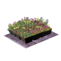 Dakvergroeners Sedum Kruidentray 43 m² incl. dakgrind
