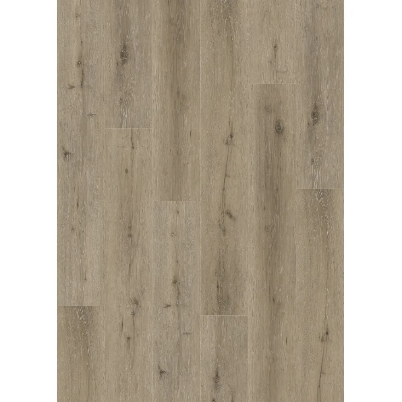 DecoMode – Praxis Eigen Merk Decomode PVC Vloer Klikvinyl Dynamic Fresh Oak - 4-zijdige micro V-groef - 2,196m²