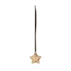 Decoris Micro Led Ster - 15 LED's - Warm Wit - 20cm - Binnen - Goud