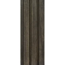 CanDo Decowall Outdoor lattenwand - Zwart - 238x14cm - 21mm - 5 stuks