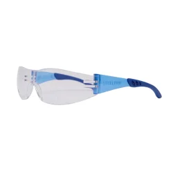 DEXTER Veiligheidsbril - Blauw - Eén maat - EN ISO 16321-1