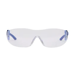 DEXTER Veiligheidsbril - Blauw - Eén maat - EN ISO 16321-1