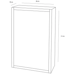 Differnz Spiegelkast Look - RVS - Zilver - 51x36x18cm