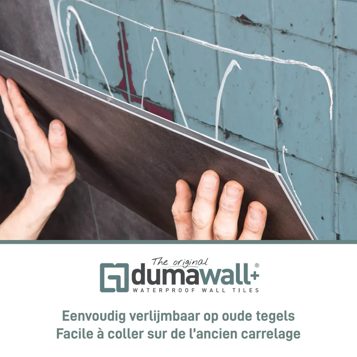 Dumaplast wandbekleding Dumawall+ Orlando 37,5x65cm