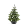 Ecopots Kerstboomvoet Xl - Donkergrijs - Geschikt Voor Bomen Tot 300 Cm - Met Waterreservoir