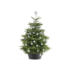 Ecopots Kerstboomvoet Xl - Donkergrijs - Geschikt Voor Bomen Tot 300 Cm - Met Waterreservoir
