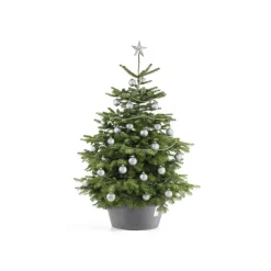 Ecopots Kerstboomvoet Xl - Grijs - Geschikt Voor Bomen Tot 300 Cm - Met Waterreservoir