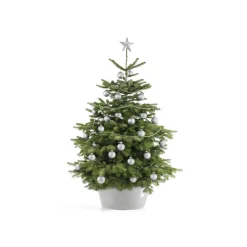 Ecopots Kerstboomvoet Xl - Witgrijs - Geschikt Voor Bomen Tot 300 Cm - Met Waterreservoir