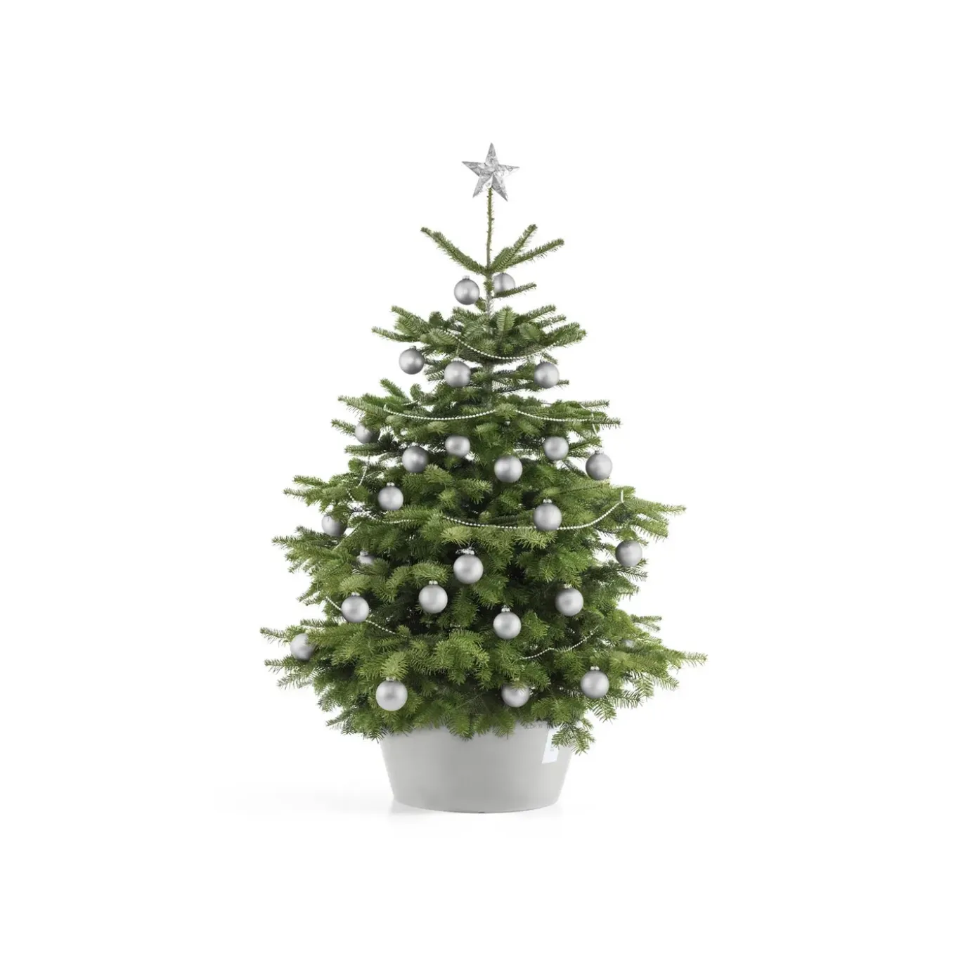 Ecopots Kerstboomvoet Xl - Witgrijs - Geschikt Voor Bomen Tot 300 Cm - Met Waterreservoir