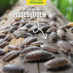 ECOstyle Aaltjes Tegen Pissebedden Val - 1 Stuk