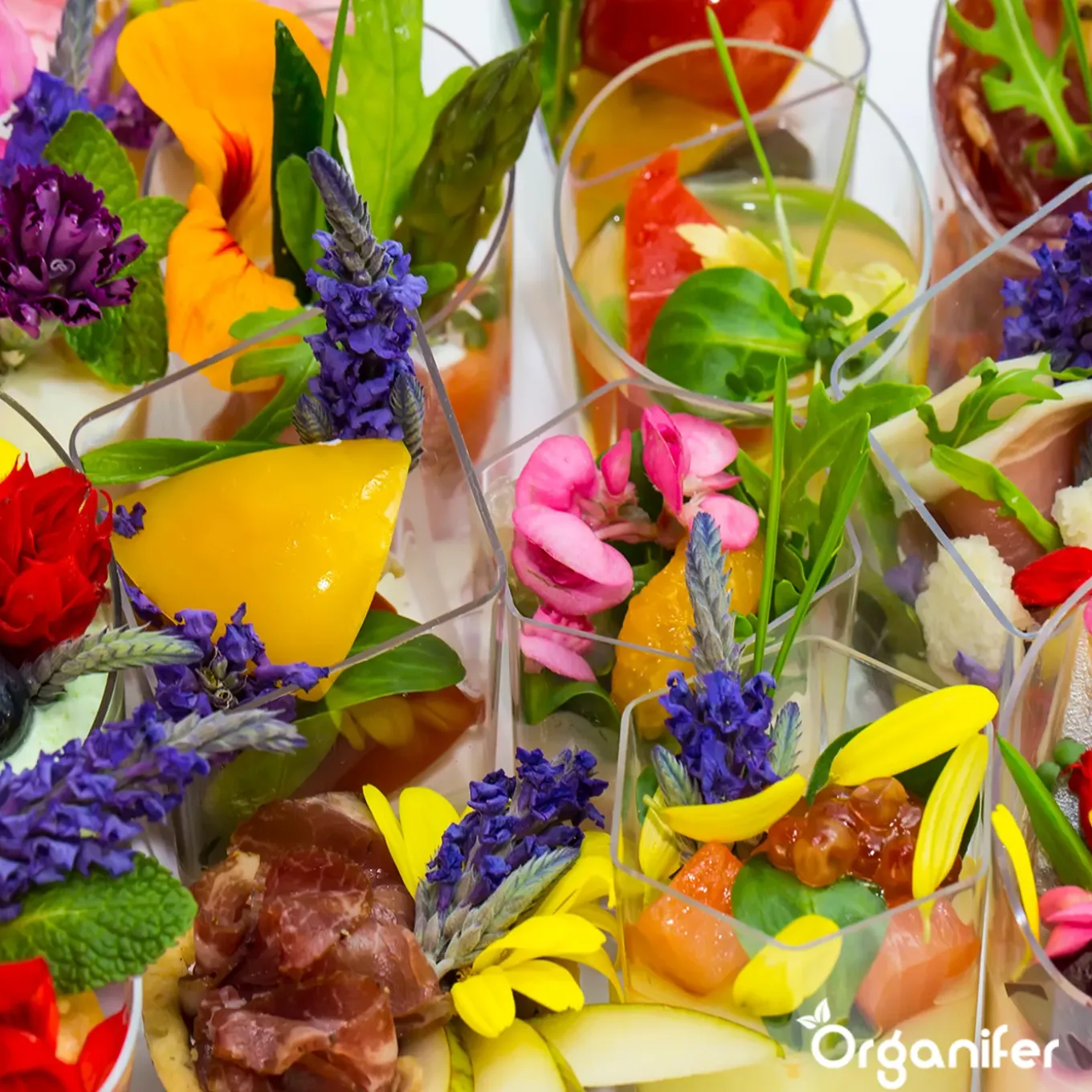 Eetbare Bloemen Zaden Pakket - 11 Soorten - Organifer
