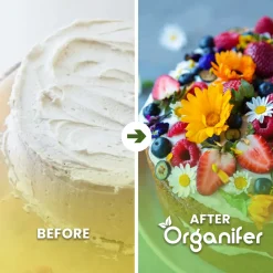 Eetbare Bloemen Zaden Pakket - 11 Soorten - Organifer